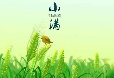 为什么只有小满，没有“大满”？
