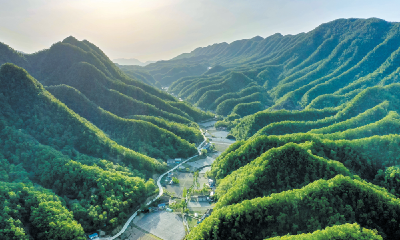 青山织锦绣 田园绽新颜