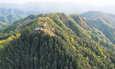 美丽十堰我的家系列报道⑭ | 鼓架山：绿海映初心 青山绘丰景