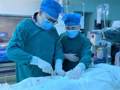 十堰人医心血管内科团队首例脉冲电场消融术助七旬大爷恢复健康心跳
