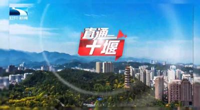 直通十堰 | 科技之花结产业硕果，创新变量聚经济增量