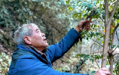 “建成支点 银龄有为”系列报道⑧ 大山里的草根植物专家 ——记“全省离退休干部先进个人”甘啟良