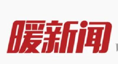 野斑鸠意外受伤  林业人员全力救治