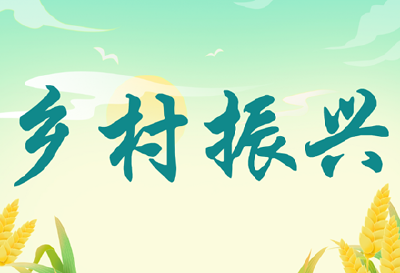 乡村振兴故事 | 荒坡变成“彩虹坡”