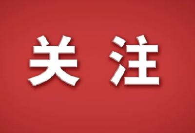 2025年高考语文全国卷作文试题解析，来了！