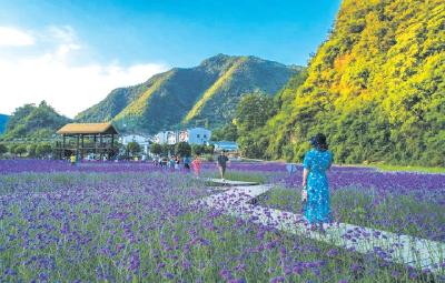从旅游过境地到目的地 ——郧西县创新实施“西引力”工程激活留量密码