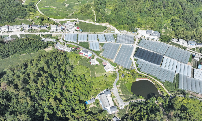 特色产业 助农增收