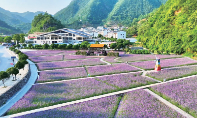 十堰夏日花海打卡指南