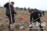 丹赵办：全面完成春季植树任务