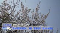 凉水河镇贺家营村：发展“樱花经济”助力乡村振兴