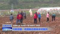 习家店镇：农旅融合推动乡村振兴