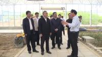 赵哲来丹调研木本油料产业和林相季相改造工作