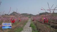 均县镇：桃花灼灼开 “美丽经济”来