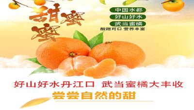 丹江口市助农柑橘促销直播
