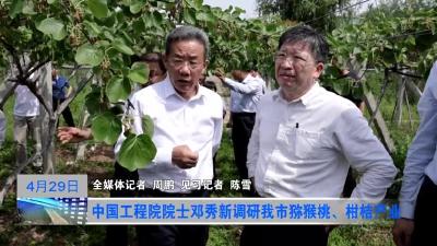 中国工程院院士邓秀新调研我市猕猴桃、柑桔广业
