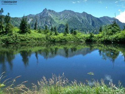 走经济发展和生态保护双赢之路 “河长制”：守护绿水青山，赢得金山银山