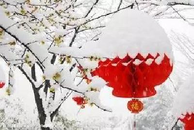 郧西五龙河首届年货节，年货先行，让爱回家！