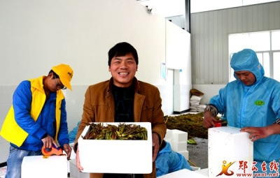 郧西旭葱专业合作社开通天猫网店