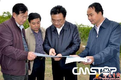 张涛实地踏勘“武西”高铁路线走向和站址设置 