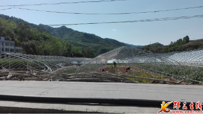 郧西县加快蔬菜老基地提档升级