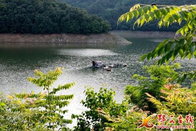 土门镇四张清单保发展