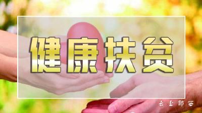 槐树：坚持“三不变”，狠抓健康扶贫