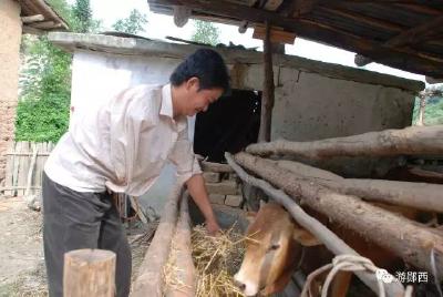郧西单臂小伙主动要求退出贫困户，市委书记张维国批示：他的行为令人感动和振奋
