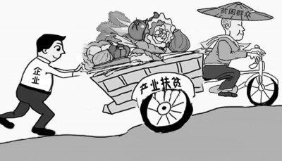 槐树：能人回归 壮大产业扶贫力量