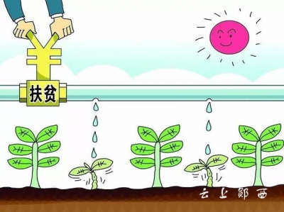 景阳强发专业合作社的产业扶贫之路