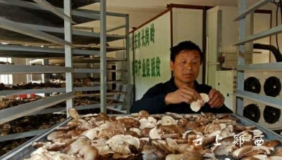 郧西：农民合作社助力精准扶贫 