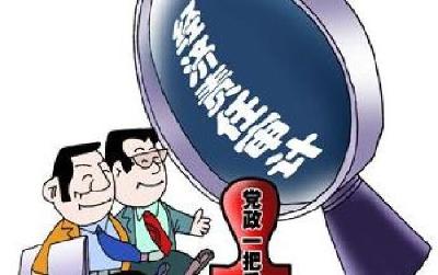 经济责任审计公告