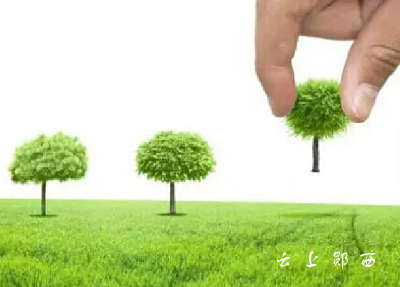 绿满景阳 助推环境治理