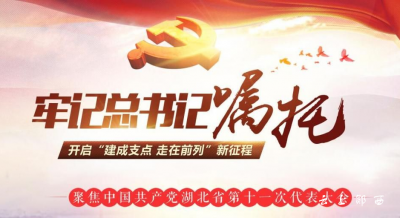 县工商联深入学习贯彻省第十一次党代会精神