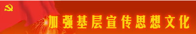 全县宣传思想文化半年工作会召开