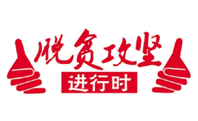 徐朝晖赴乡镇督导“聚力脱贫攻坚 五级代表在行动”工作
