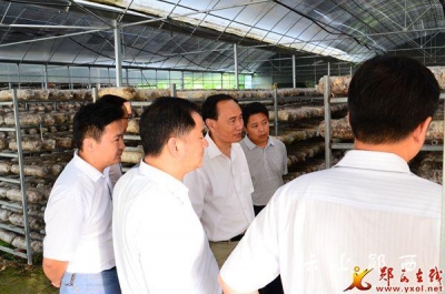 省科技厅副厅长刘望清来我县调研