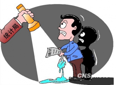 王丽媛专题调研统计工作