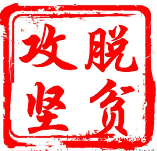 徐朝晖参加土门“聚力脱贫攻坚五级代表在行动”活动