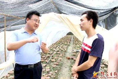 张涛深入店子镇调研扶贫领域执纪问责工作