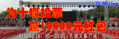 “冲刺全国文明城·决战中国魅力城”网络投票电视网络直播