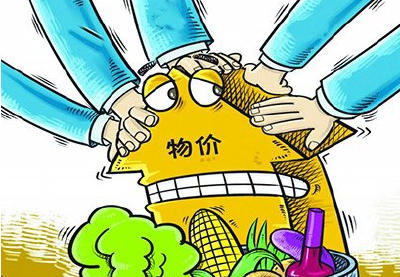 县物价局全面开展价格服务进乡村活动
