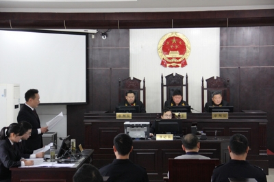 郧西法院院长付洪当庭宣判一起刑事案件