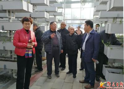 县离退休老干部参观重点项目 