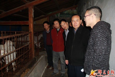 省科技厅副厅长刘望清调研郧西科技扶贫
