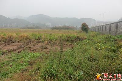 秋游直播测试