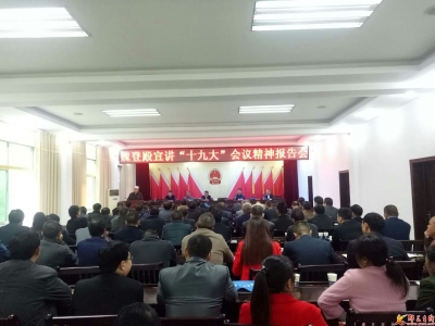 魏登殿十九大归来天天宣讲人气爆涨
