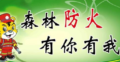 湖北口多措并举高效落实冬季森林防火总任务