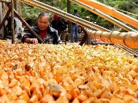秋天，郧西送给你最美的礼物！