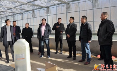 香口乡成功人士回乡共谋发展