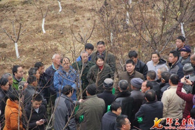 上津镇开展农技培训，助力产业脱贫